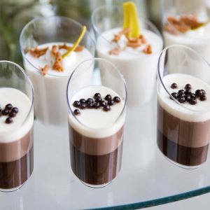 24-Pack Plastic Appetizer Cups 3oz Clear Diminutive Flasket - Disposable Dessert Cups for Parties